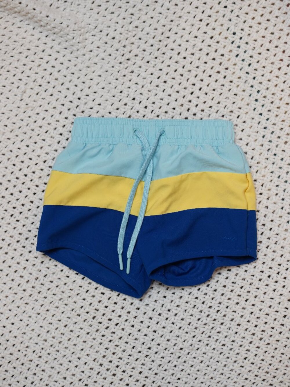 Minnow Colorblock Swim Trunks